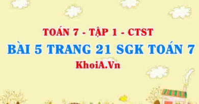 Bài 5 trang 21 SGK Toán 7 tập 1 Chân trời sáng tạo